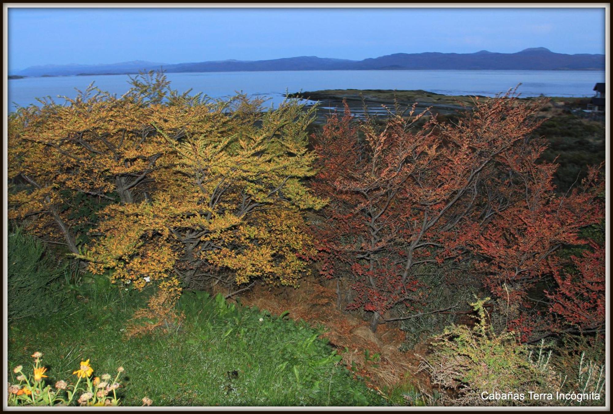 Villa Terra Incognita Ushuaia Habitación foto