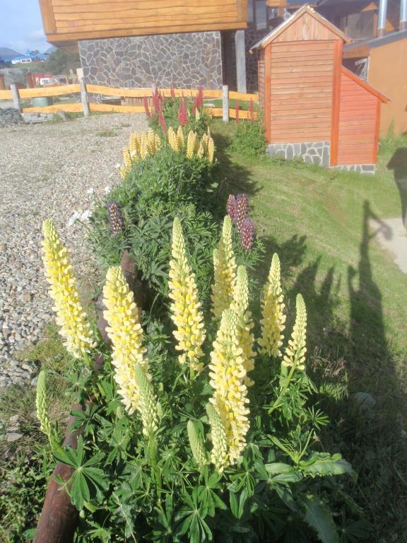 Villa Terra Incognita Ushuaia Habitación foto